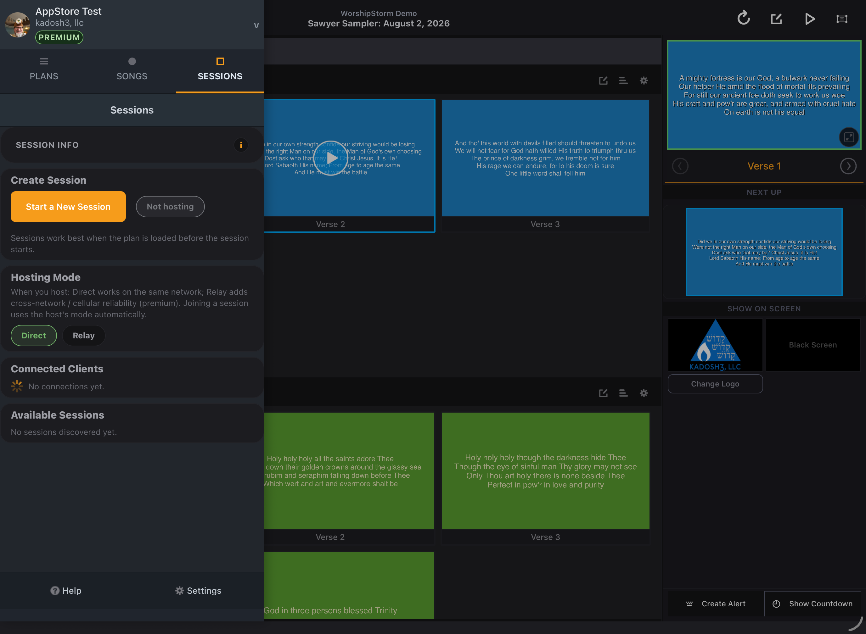 The Sessions panel before hosting: Start a New Session with a 'Not hosting' badge, a Hosting Mode section with Direct selected and Relay beside it, Connected Clients showing no connections, and Available Sessions showing none discovered