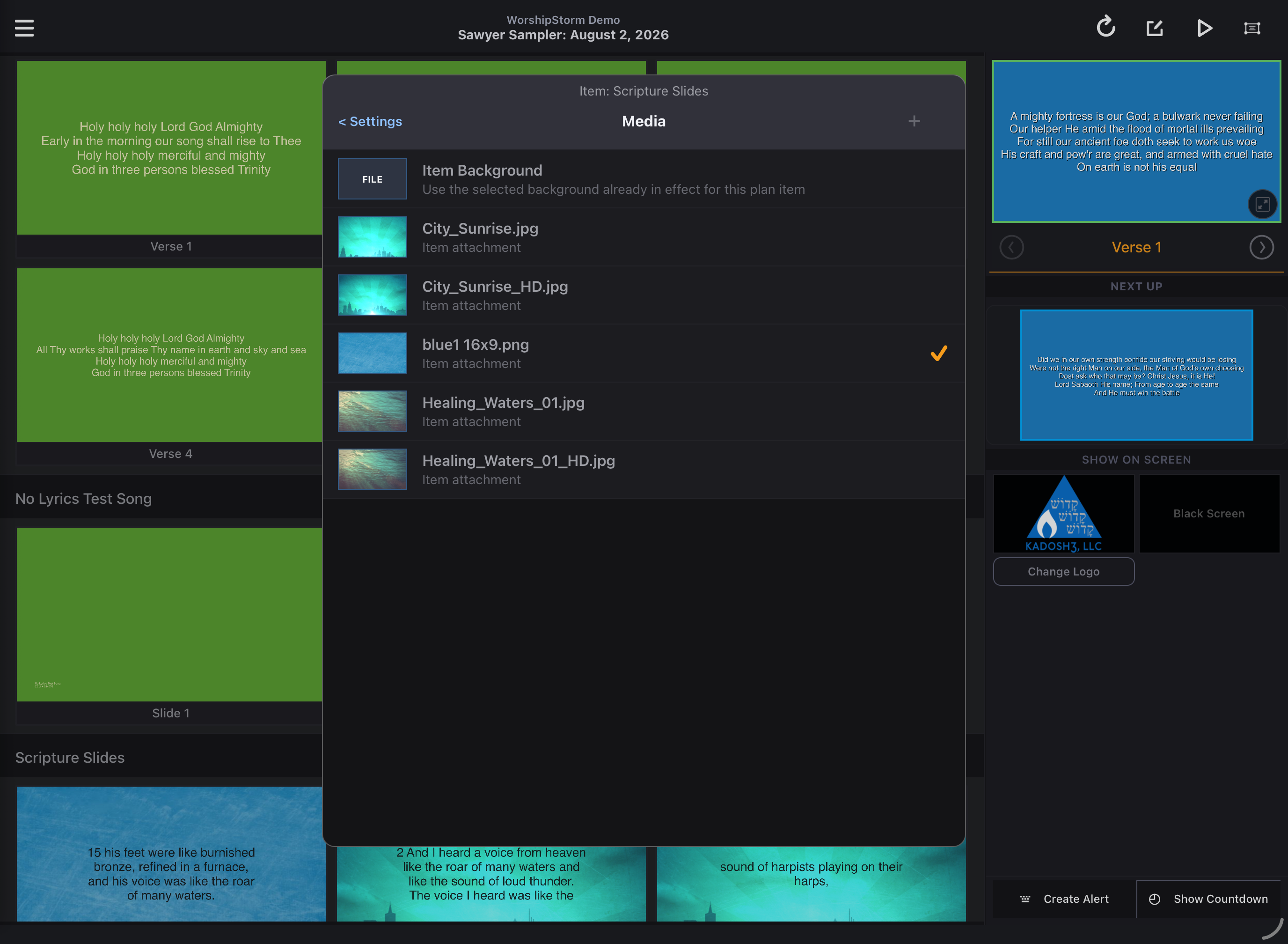 The item's Media list, each attachment shown with a thumbnail and file name, ending with a None entry that removes the background