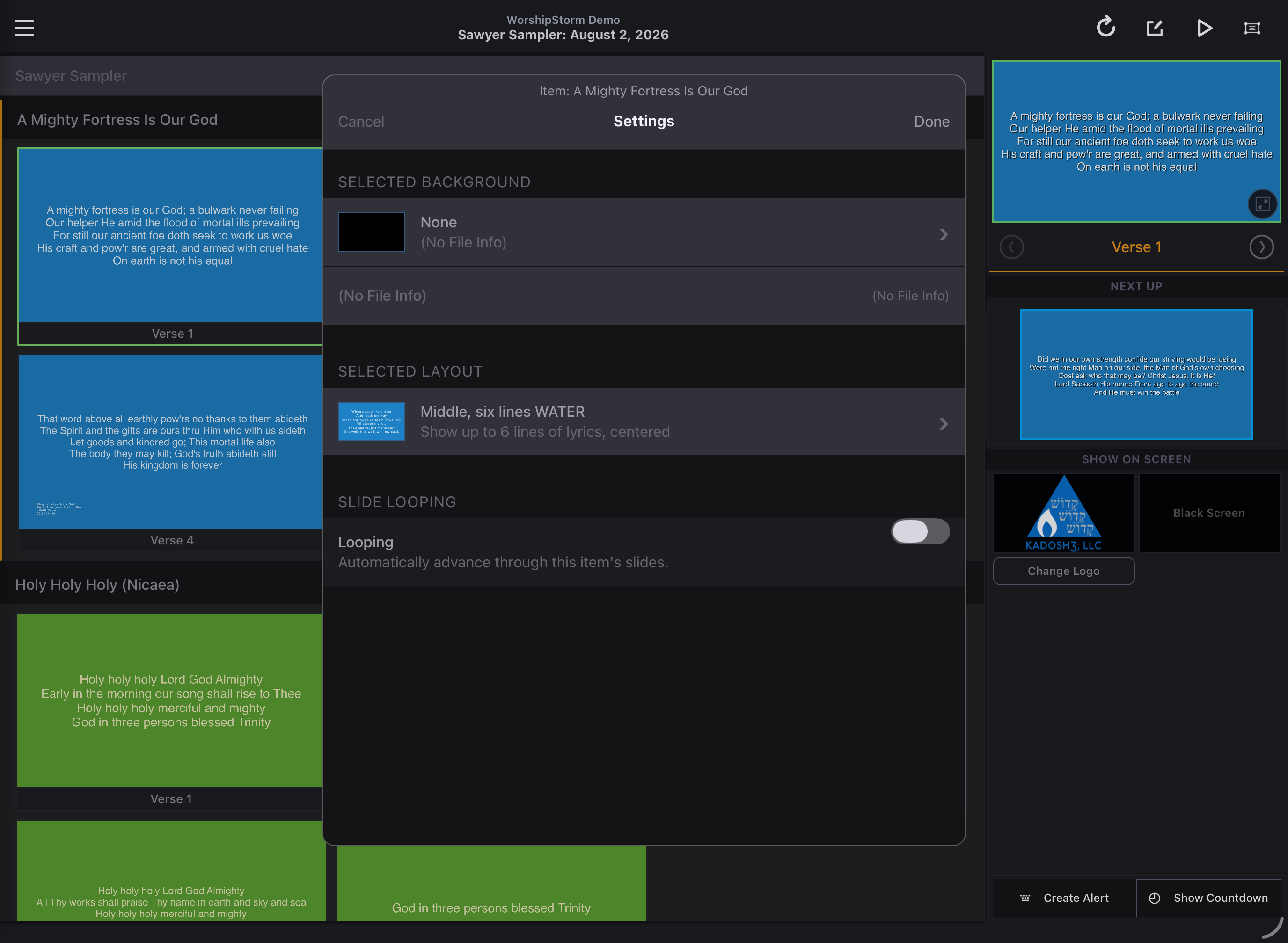 The Item Settings panel in Projector Plus, showing background, layout, and slide looping options